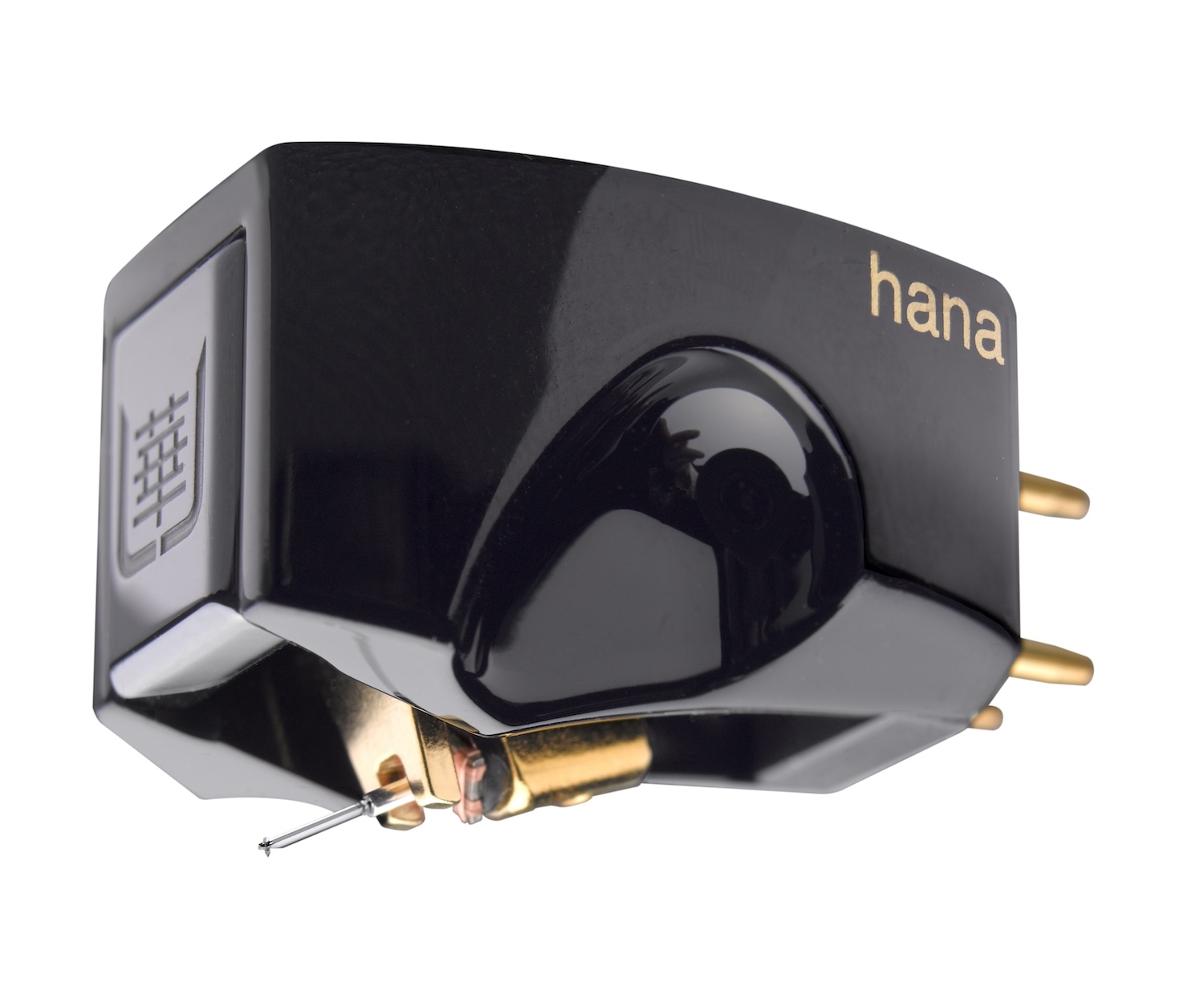 hana Umami black