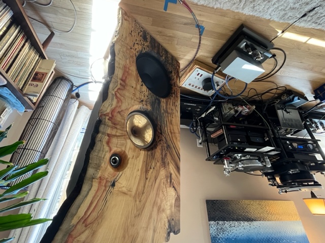 Treehaus Audiolab Phantom Of Luxury Loudspeaker - Positive Feedback