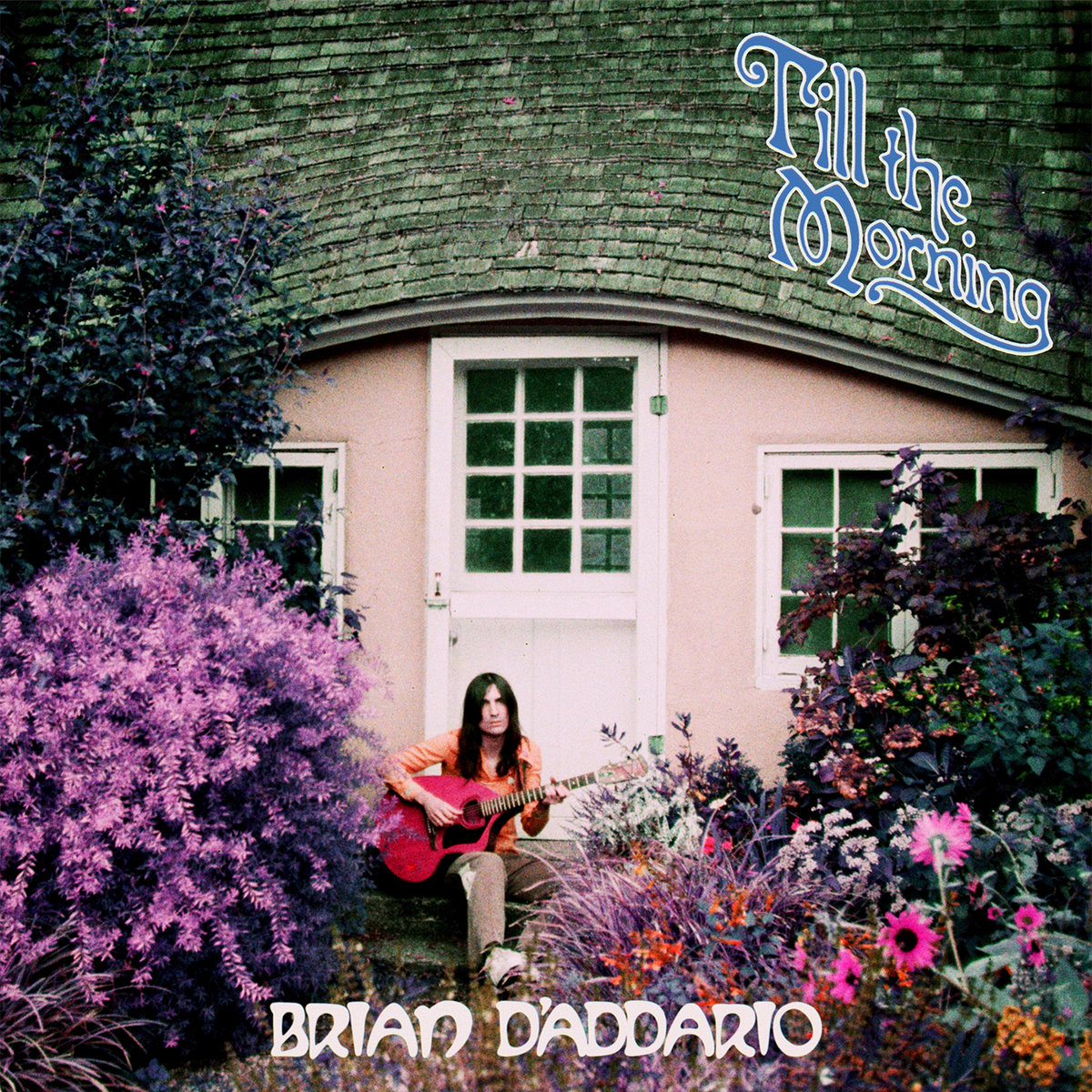 Brian D'Addario "Till the Morning"