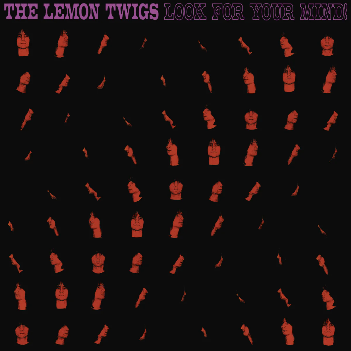 The Lemon Twigs Look For Your Mind!