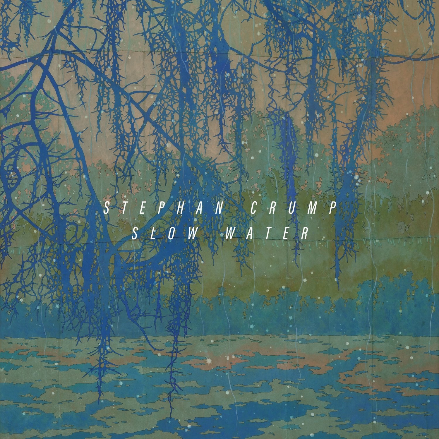 Stephan Crump "Slow Water"