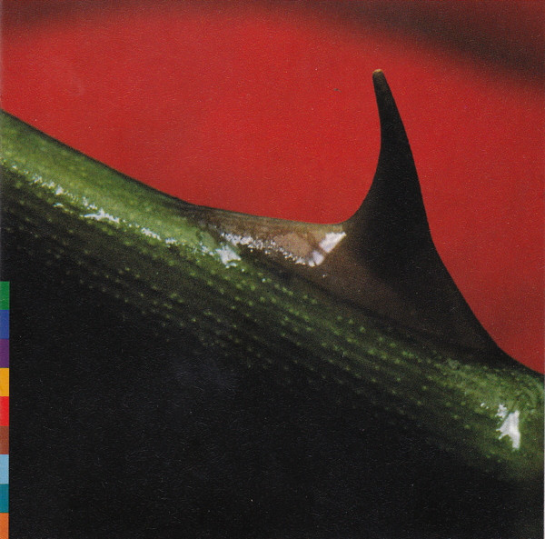 Night Song - one of a series of albums that were a collaboration beteen Nusrat Fateh Ali Khan and Michael Brook, on Peter Gabriel's Real World label