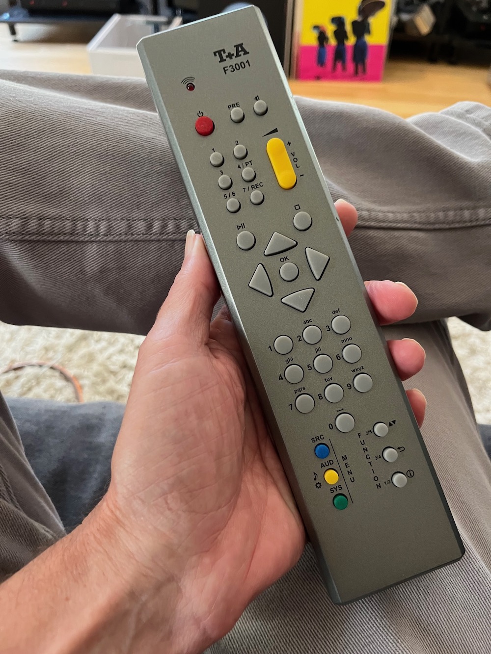 T+A P3100 HV remote