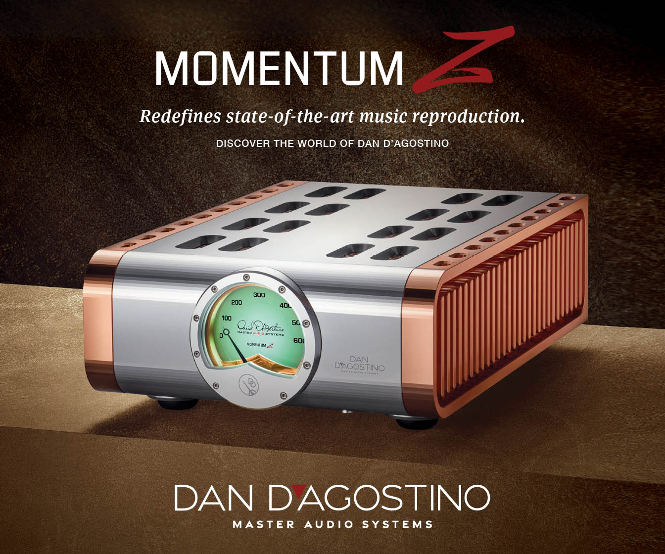 Momentum Z Monoblock Amplifier